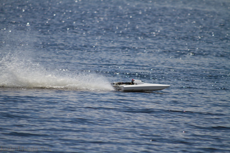 Enlarge photo 146