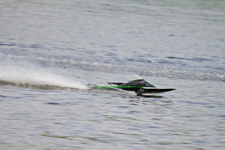 Enlarge photo 169