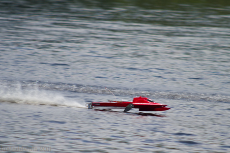 Enlarge photo 172