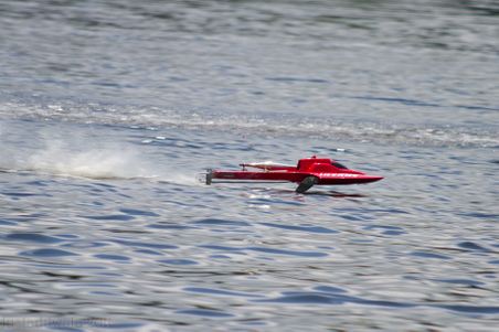 Enlarge photo 173