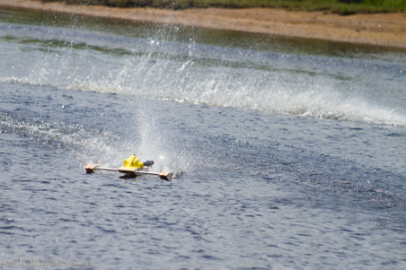 Enlarge photo 187