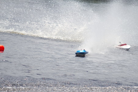Enlarge photo 217