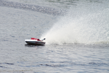 Enlarge photo 223