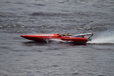 Enlarge photo 225