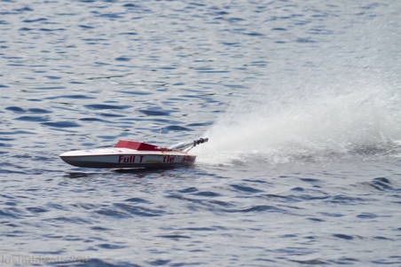 Enlarge photo 228