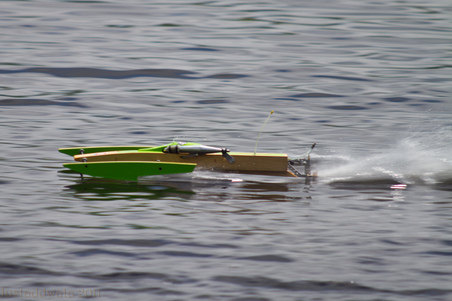 Enlarge photo 231