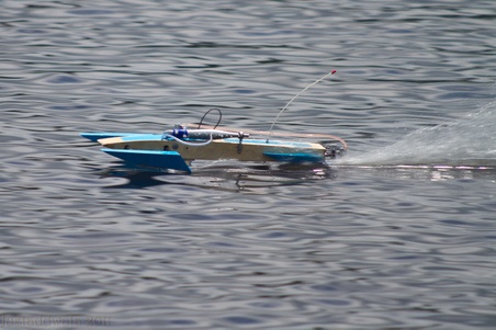 Enlarge photo 232