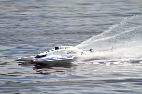Enlarge photo 242