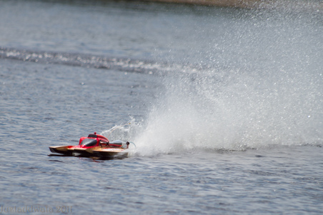 Enlarge photo 252