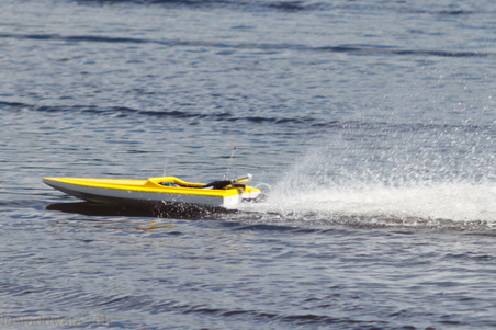 Enlarge photo 255