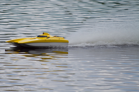 Enlarge photo 256