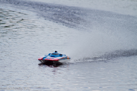 Enlarge photo 257