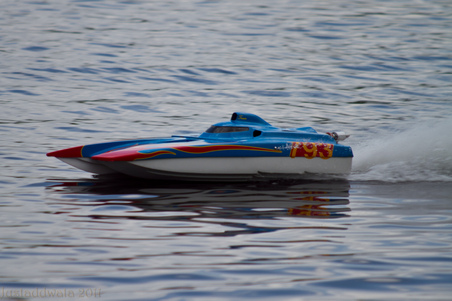 Enlarge photo 259