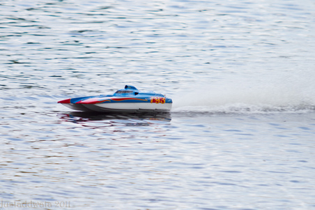 Enlarge photo 262