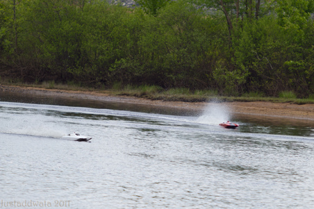 Enlarge photo 263