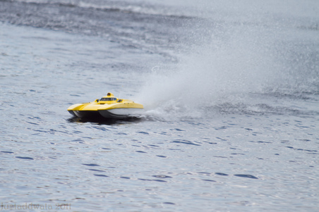 Enlarge photo 271