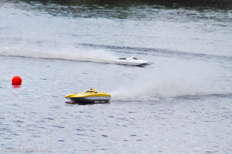 Enlarge photo 272