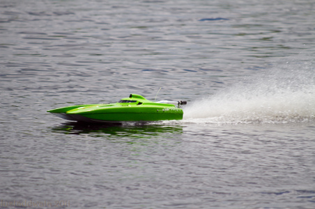 Enlarge photo 276
