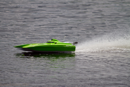 Enlarge photo 277
