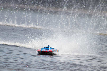 Enlarge photo 311