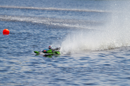 Enlarge photo 336