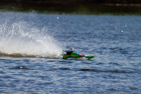 Enlarge photo 338