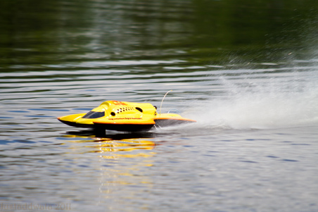 Enlarge photo 381