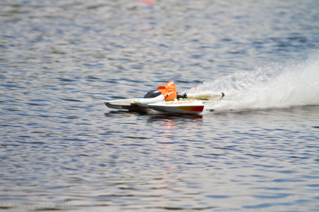 Enlarge photo 383