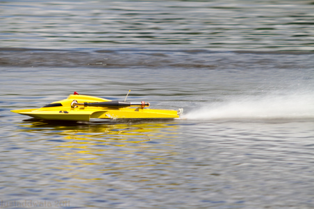 Enlarge photo 385