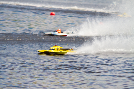 Enlarge photo 394