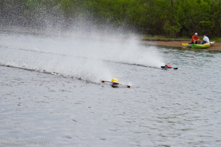 Enlarge photo 443