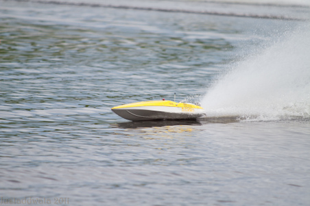 Enlarge photo 446
