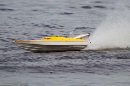 Enlarge photo 455