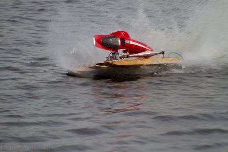 Enlarge photo 475