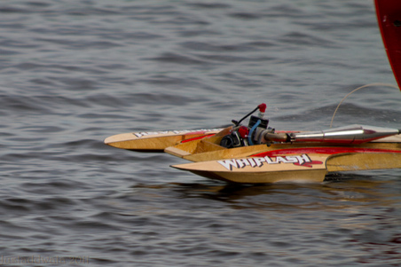 Enlarge photo 476
