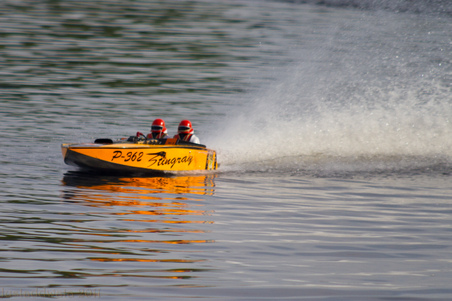 Enlarge photo 481