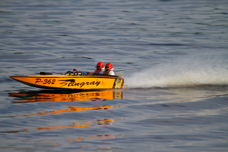 Enlarge photo 482