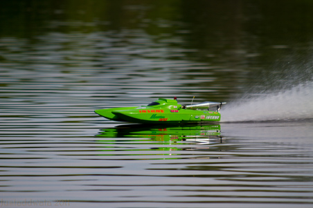 Enlarge photo 486