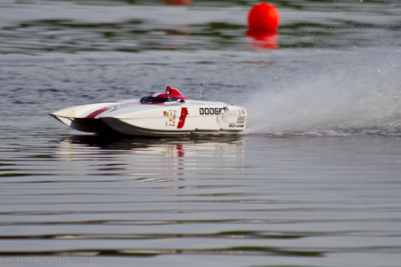 Enlarge photo 489