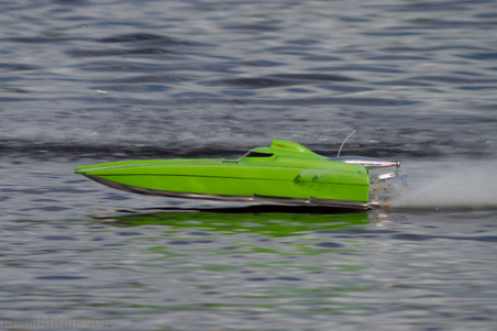 Enlarge photo 499