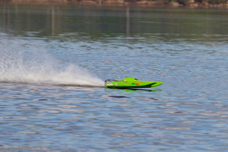 Enlarge photo 501