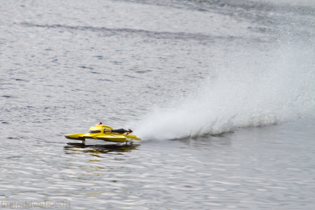 Enlarge photo 49