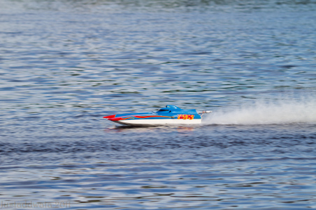 Enlarge photo 521