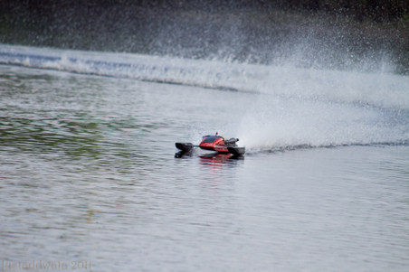 Enlarge photo 529