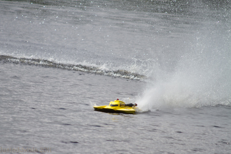 Enlarge photo 54