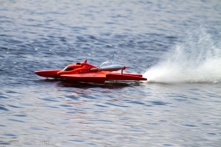 Enlarge photo 61