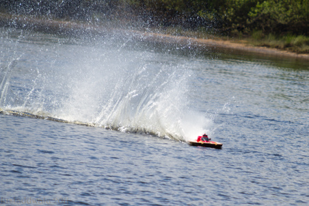 Enlarge photo 63