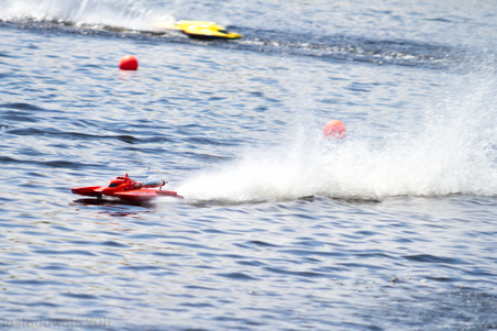 Enlarge photo 65