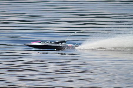 Enlarge photo 72