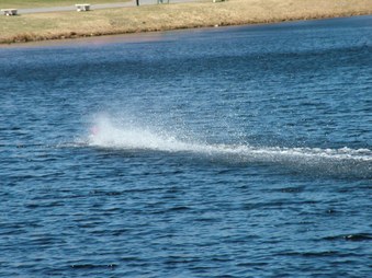 Enlarge photo 32